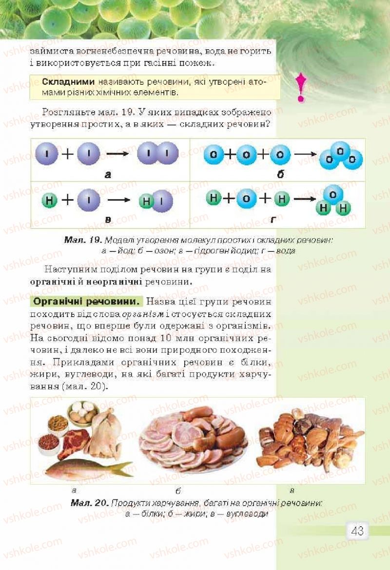 Страница 43 | Підручник Природознавство 5 клас О.Г. Ярошенко, В.М. Бойко 2013