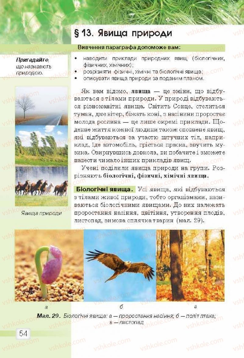 Страница 54 | Підручник Природознавство 5 клас О.Г. Ярошенко, В.М. Бойко 2013