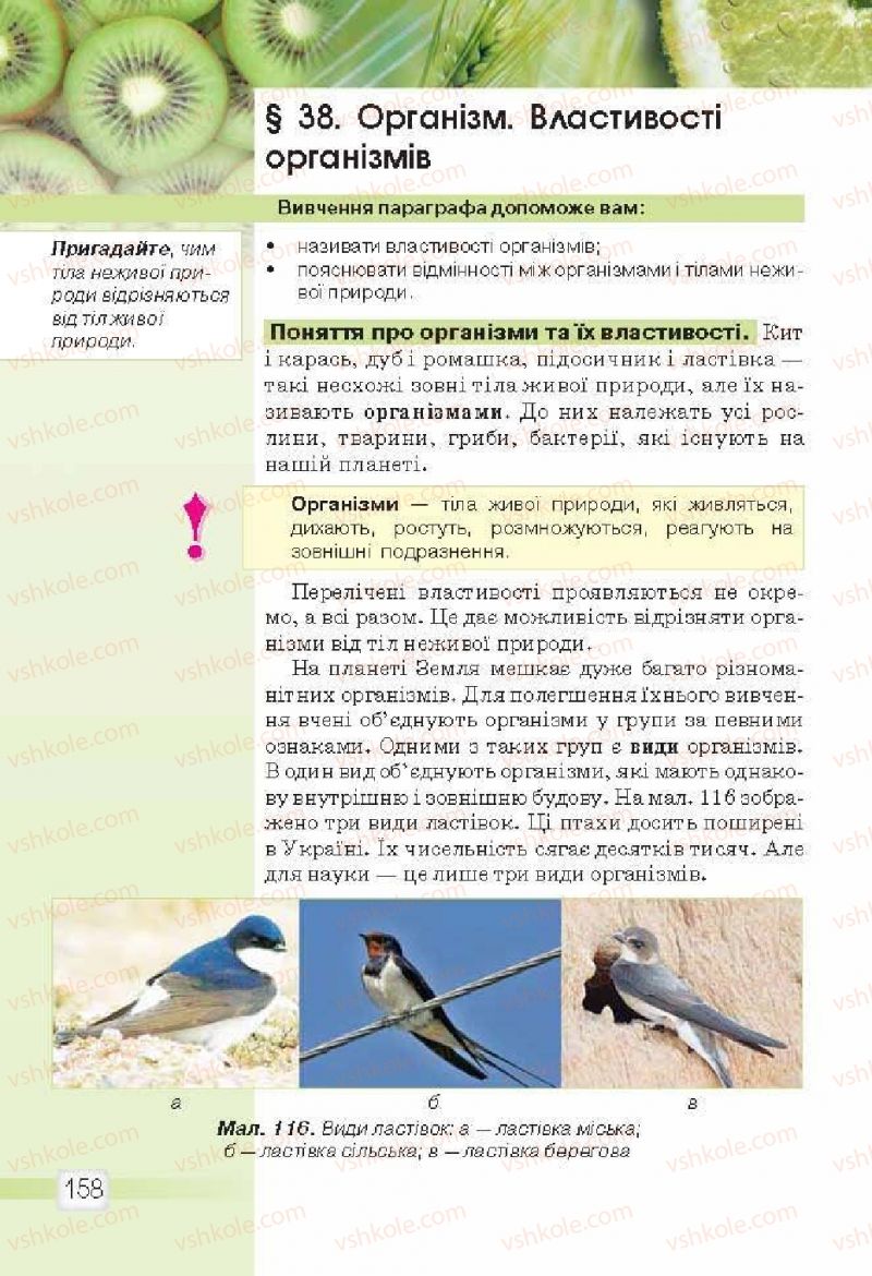 Страница 158 | Підручник Природознавство 5 клас О.Г. Ярошенко, В.М. Бойко 2013