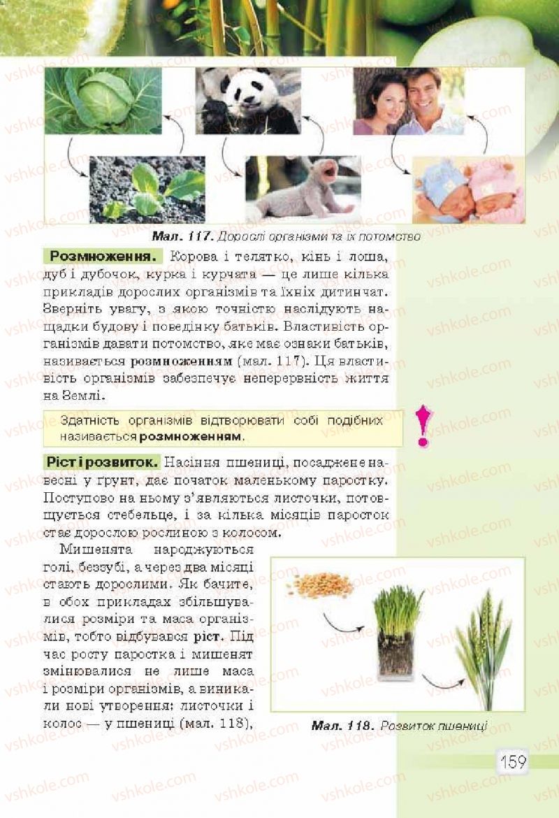 Страница 159 | Підручник Природознавство 5 клас О.Г. Ярошенко, В.М. Бойко 2013