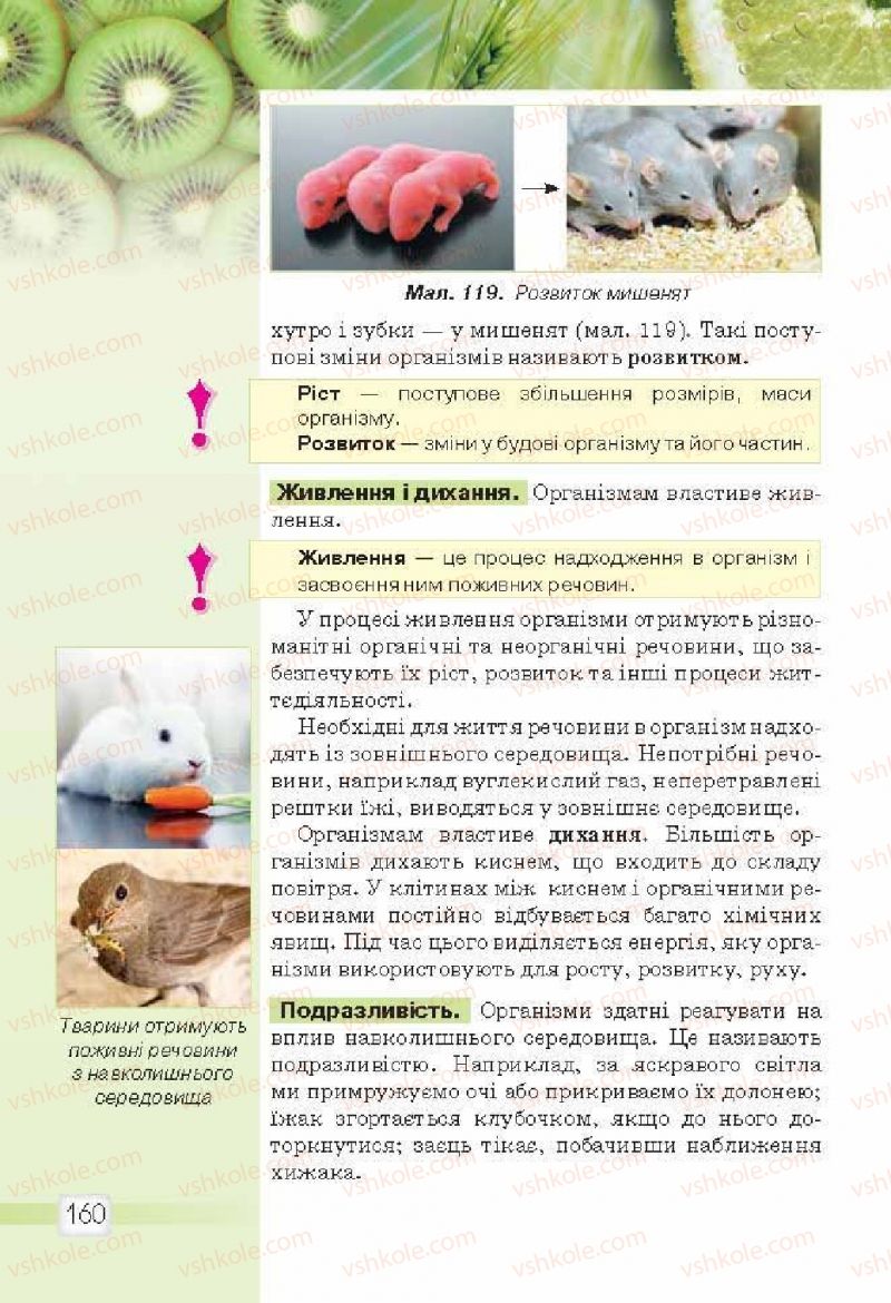 Страница 160 | Підручник Природознавство 5 клас О.Г. Ярошенко, В.М. Бойко 2013