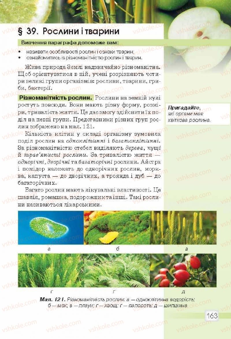 Страница 163 | Підручник Природознавство 5 клас О.Г. Ярошенко, В.М. Бойко 2013