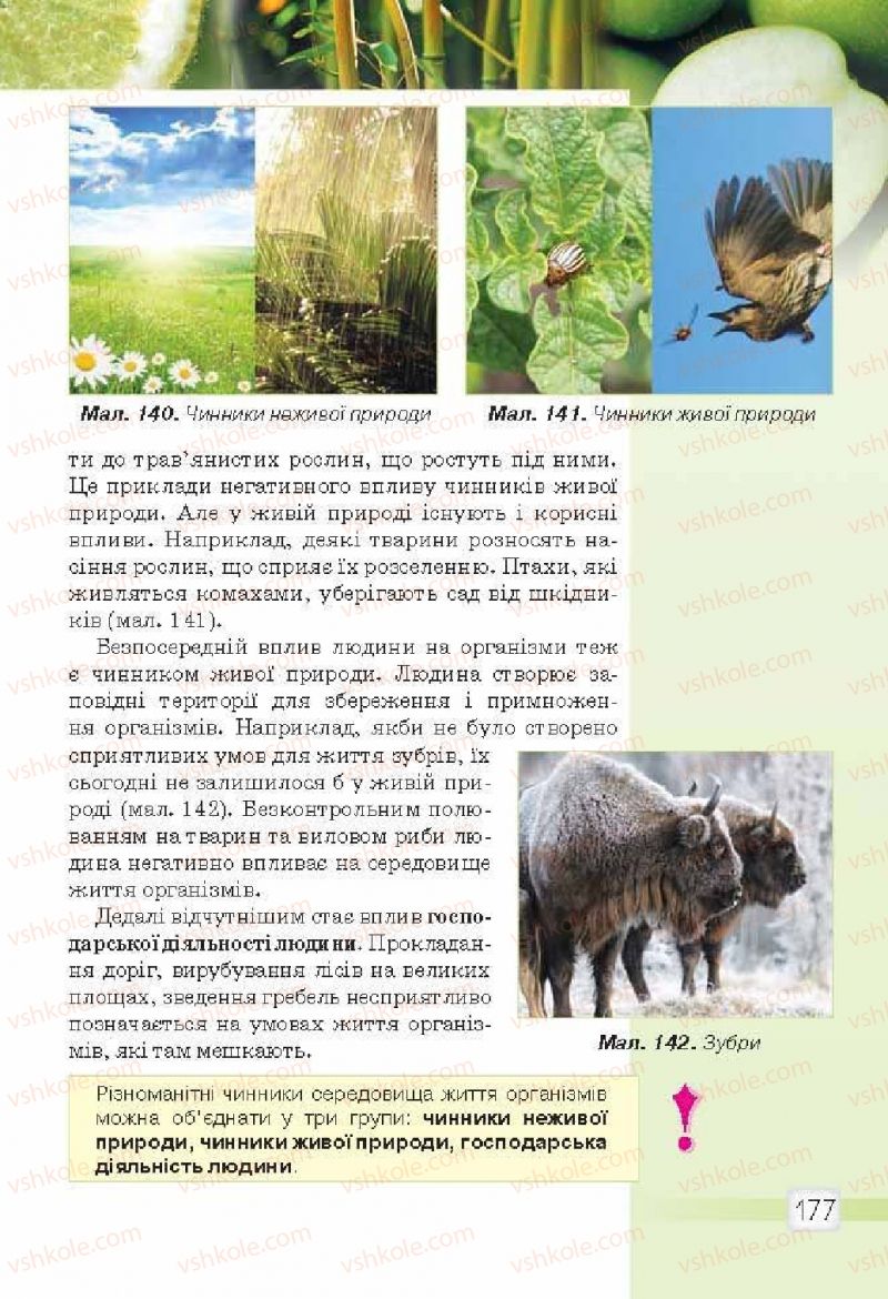 Страница 177 | Підручник Природознавство 5 клас О.Г. Ярошенко, В.М. Бойко 2013