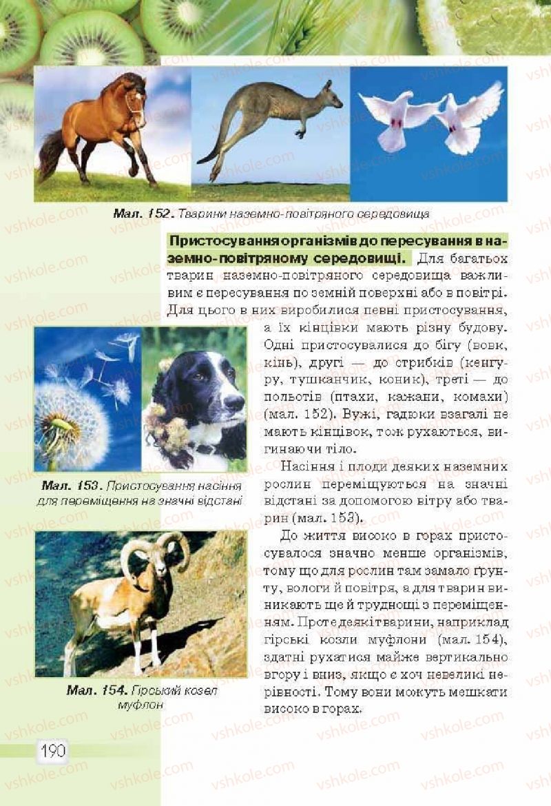 Страница 190 | Підручник Природознавство 5 клас О.Г. Ярошенко, В.М. Бойко 2013