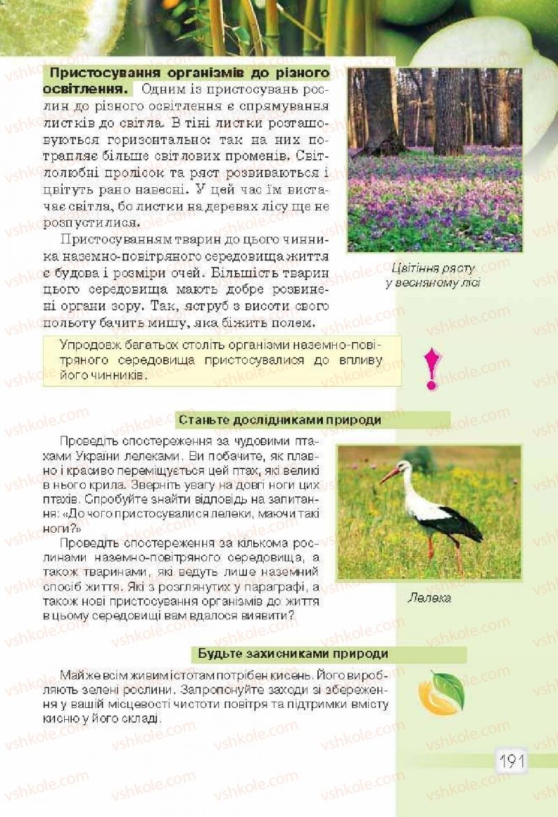 Страница 191 | Підручник Природознавство 5 клас О.Г. Ярошенко, В.М. Бойко 2013