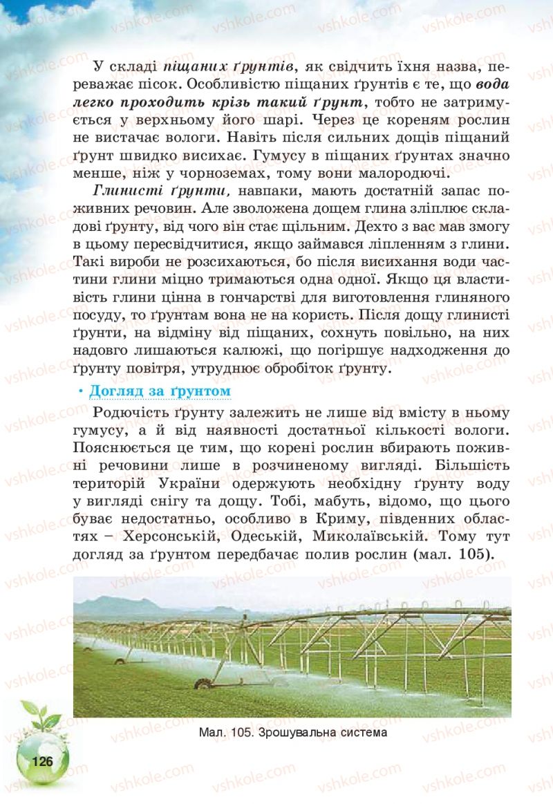Страница 126 | Підручник Природознавство 5 клас Т.В. Коршевнюк, В.І. Баштовий 2013
