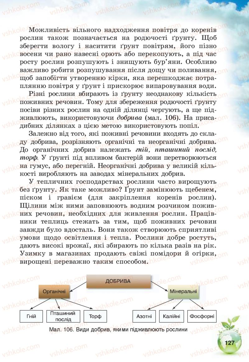 Страница 127 | Підручник Природознавство 5 клас Т.В. Коршевнюк, В.І. Баштовий 2013