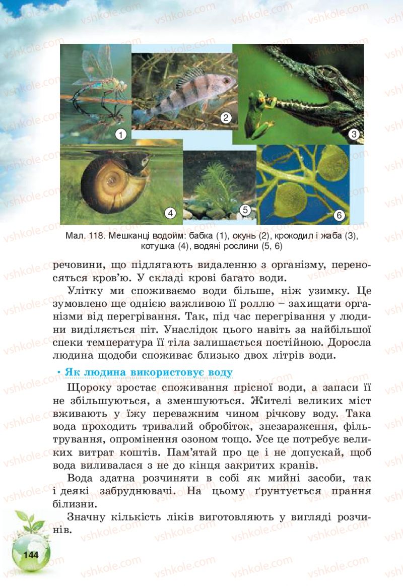 Страница 144 | Підручник Природознавство 5 клас Т.В. Коршевнюк, В.І. Баштовий 2013