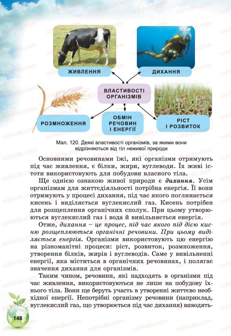 Страница 148 | Підручник Природознавство 5 клас Т.В. Коршевнюк, В.І. Баштовий 2013