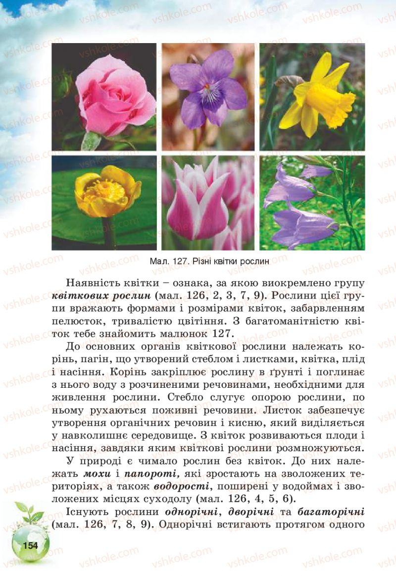 Страница 154 | Підручник Природознавство 5 клас Т.В. Коршевнюк, В.І. Баштовий 2013