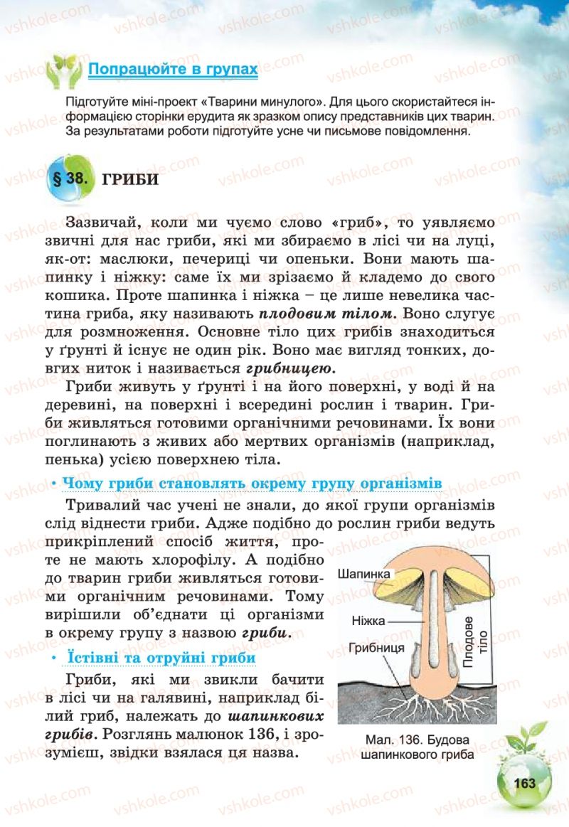 Страница 163 | Підручник Природознавство 5 клас Т.В. Коршевнюк, В.І. Баштовий 2013