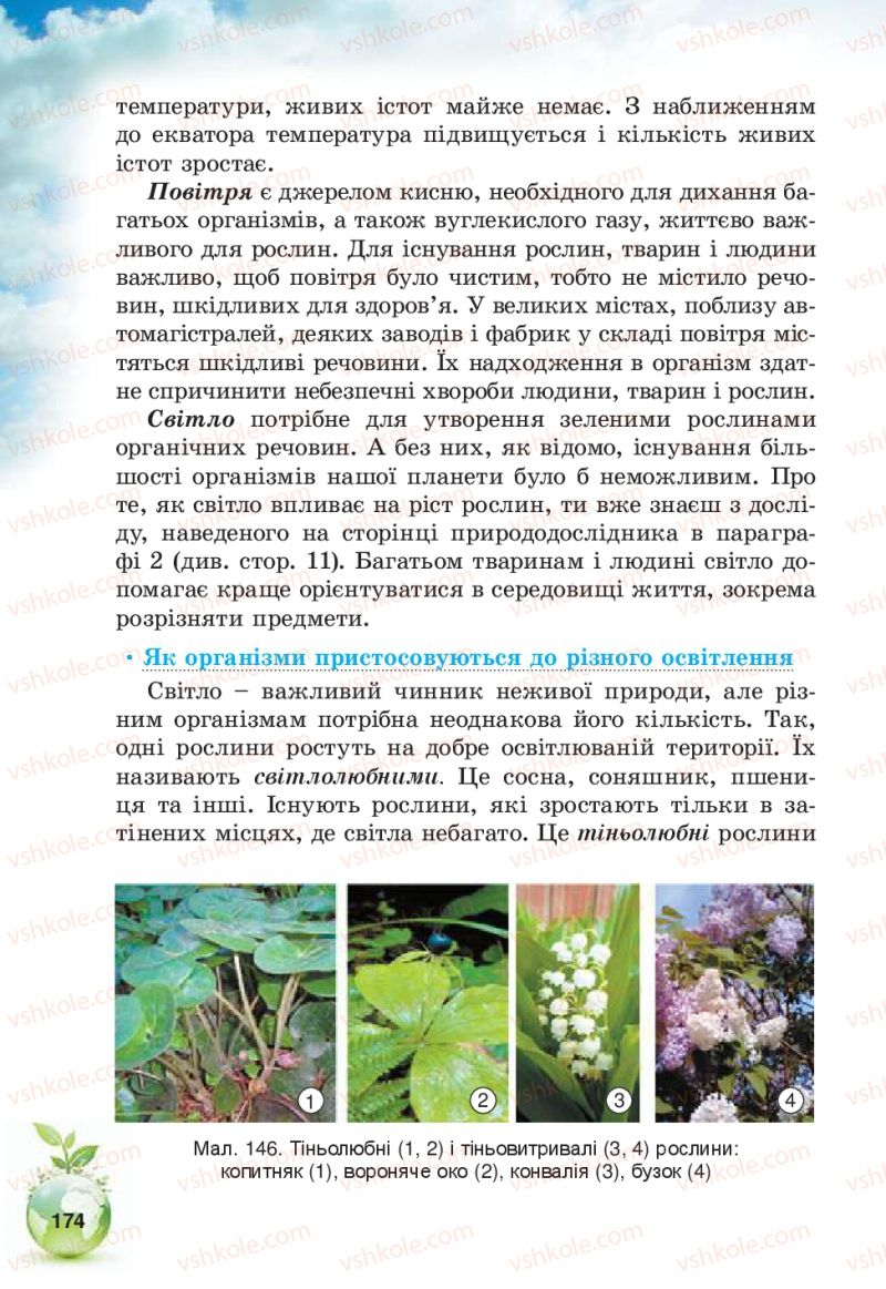 Страница 174 | Підручник Природознавство 5 клас Т.В. Коршевнюк, В.І. Баштовий 2013