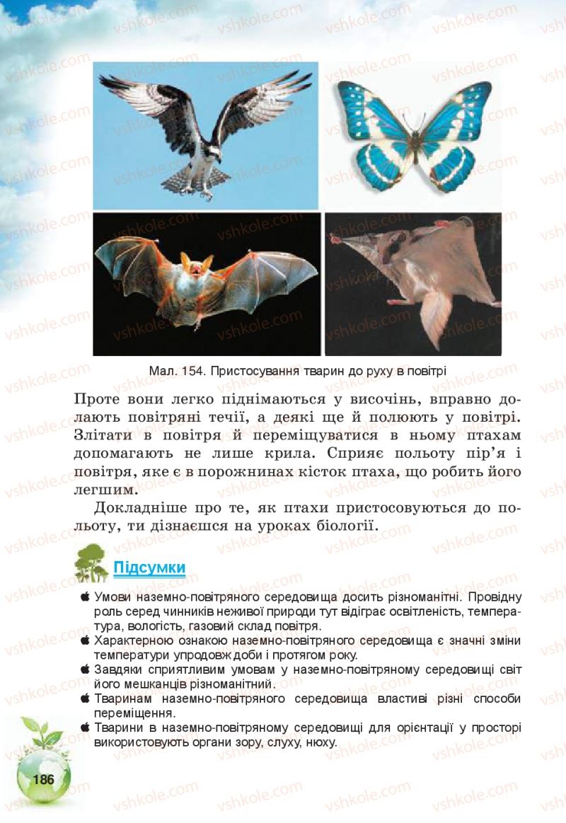 Страница 186 | Підручник Природознавство 5 клас Т.В. Коршевнюк, В.І. Баштовий 2013
