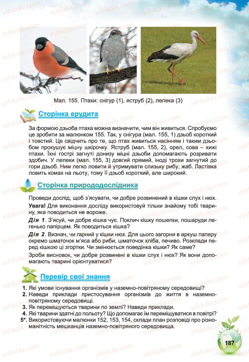 Страница 187 | Підручник Природознавство 5 клас Т.В. Коршевнюк, В.І. Баштовий 2013