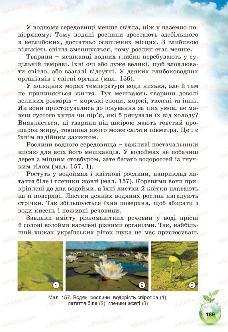 Страница 189 | Підручник Природознавство 5 клас Т.В. Коршевнюк, В.І. Баштовий 2013