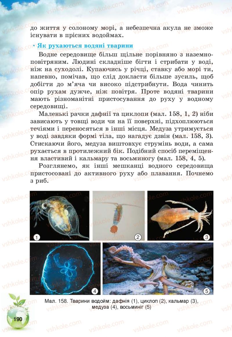 Страница 190 | Підручник Природознавство 5 клас Т.В. Коршевнюк, В.І. Баштовий 2013