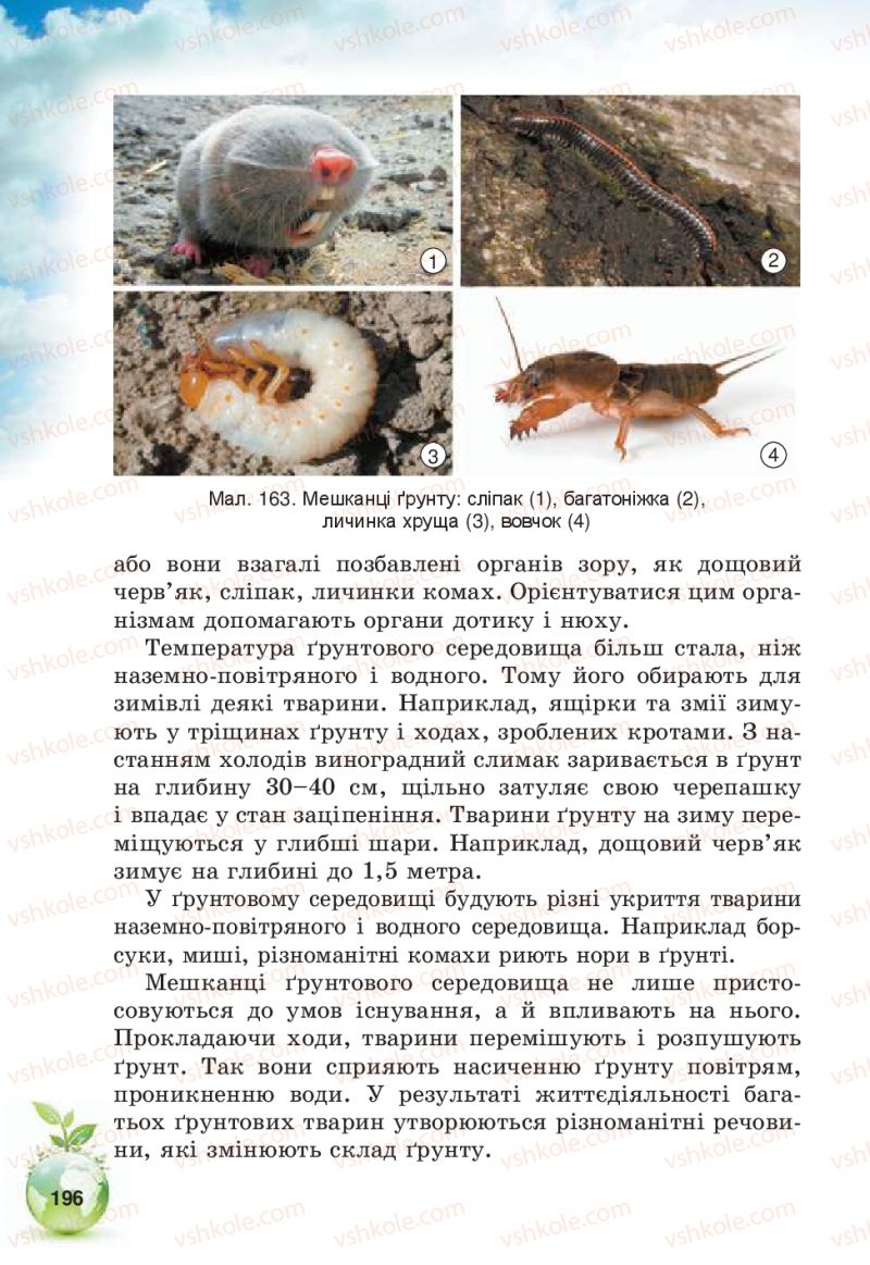 Страница 196 | Підручник Природознавство 5 клас Т.В. Коршевнюк, В.І. Баштовий 2013