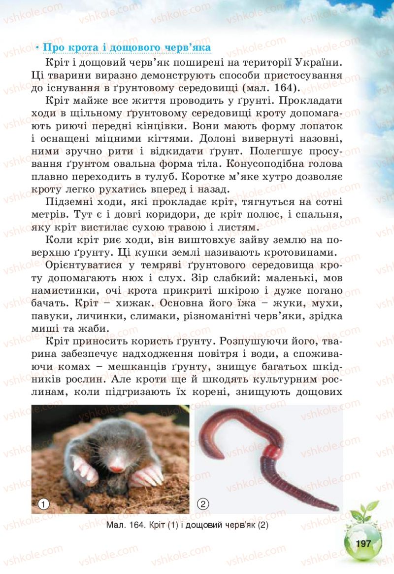 Страница 197 | Підручник Природознавство 5 клас Т.В. Коршевнюк, В.І. Баштовий 2013