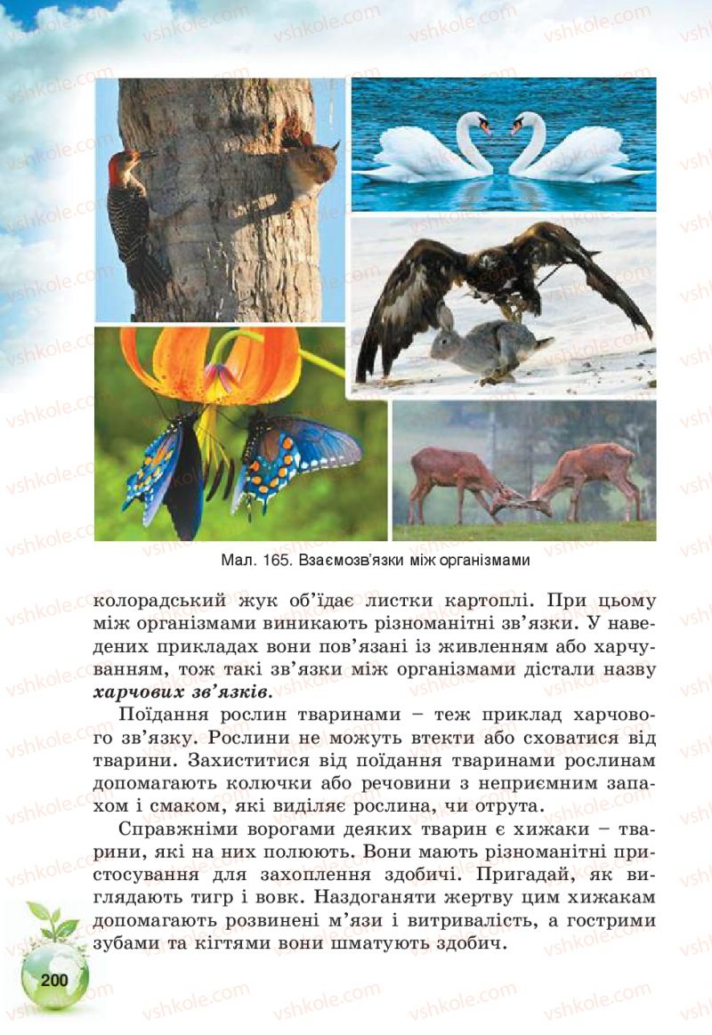 Страница 200 | Підручник Природознавство 5 клас Т.В. Коршевнюк, В.І. Баштовий 2013