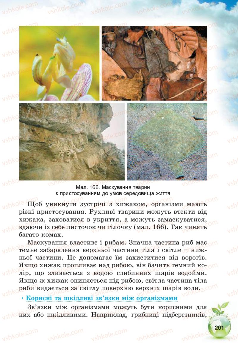 Страница 201 | Підручник Природознавство 5 клас Т.В. Коршевнюк, В.І. Баштовий 2013