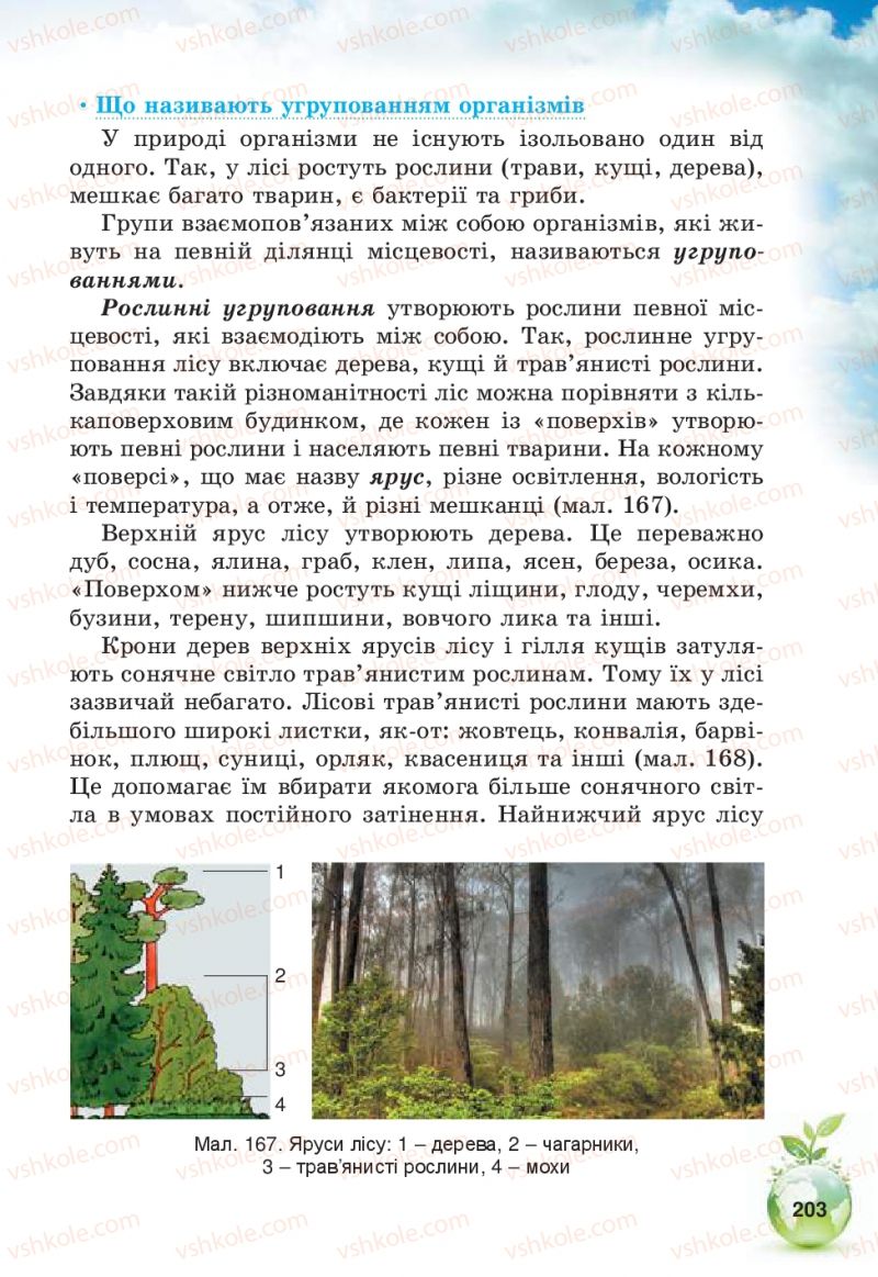 Страница 203 | Підручник Природознавство 5 клас Т.В. Коршевнюк, В.І. Баштовий 2013