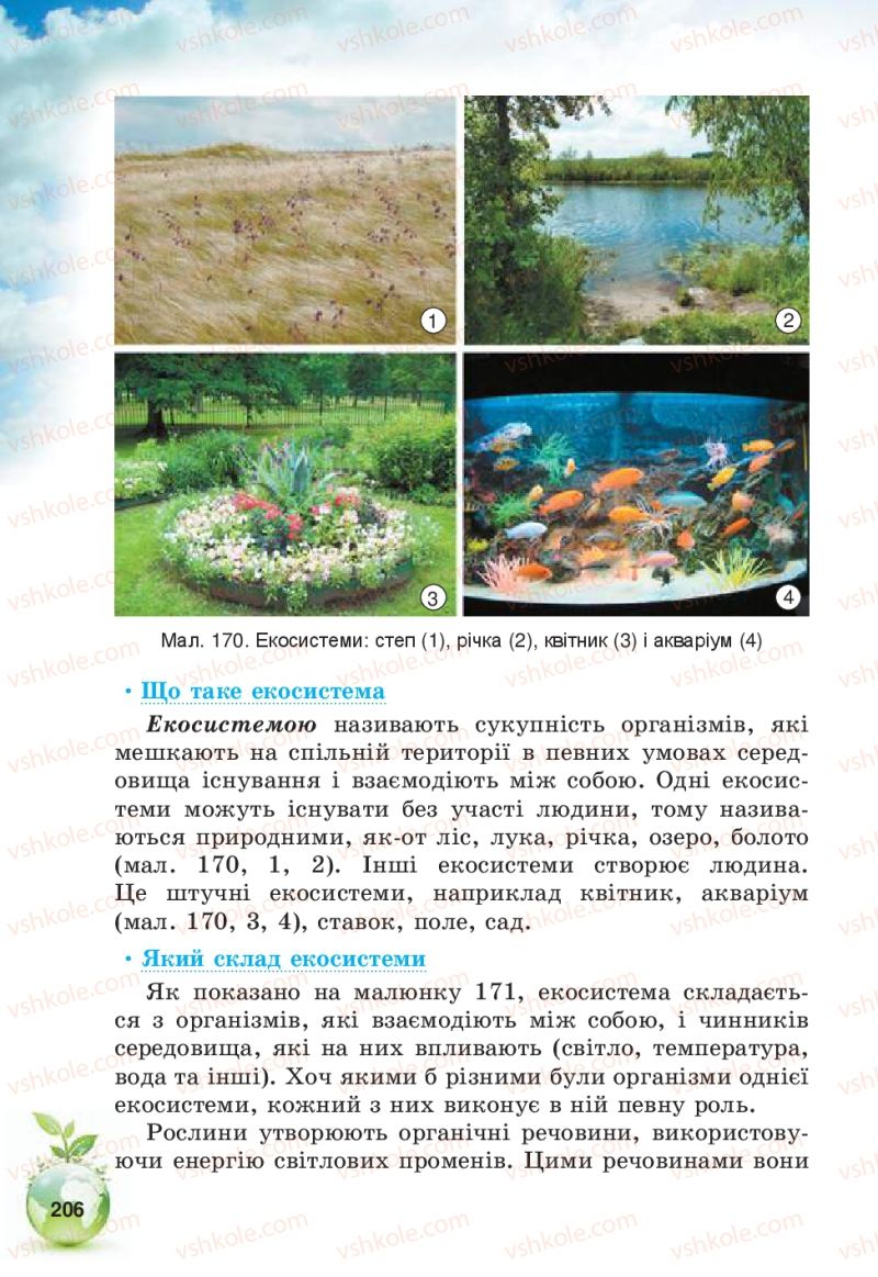 Страница 206 | Підручник Природознавство 5 клас Т.В. Коршевнюк, В.І. Баштовий 2013