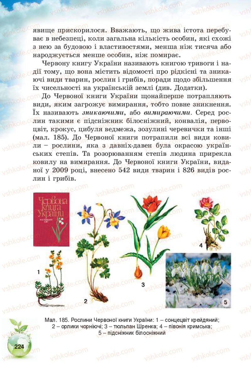 Страница 224 | Підручник Природознавство 5 клас Т.В. Коршевнюк, В.І. Баштовий 2013