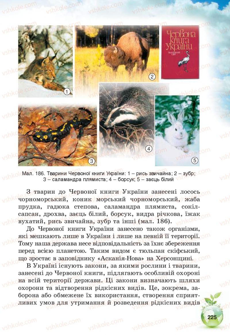 Страница 225 | Підручник Природознавство 5 клас Т.В. Коршевнюк, В.І. Баштовий 2013