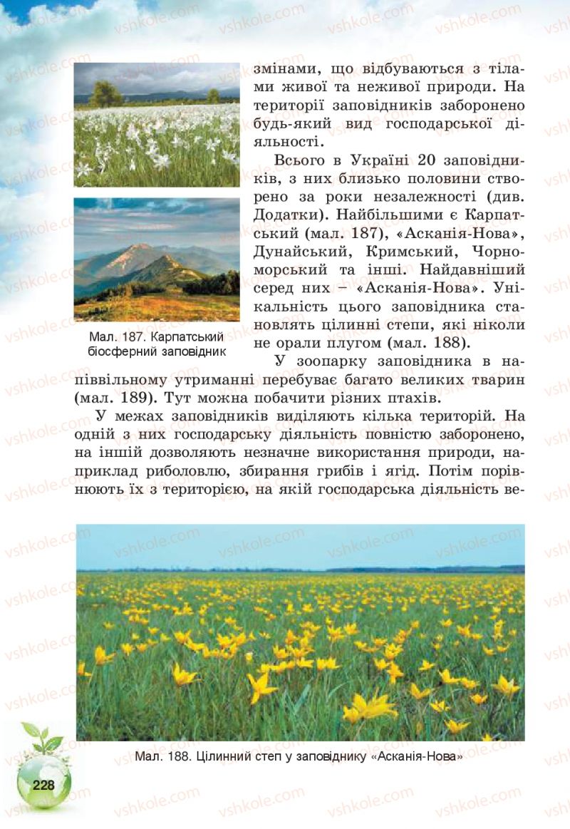 Страница 228 | Підручник Природознавство 5 клас Т.В. Коршевнюк, В.І. Баштовий 2013