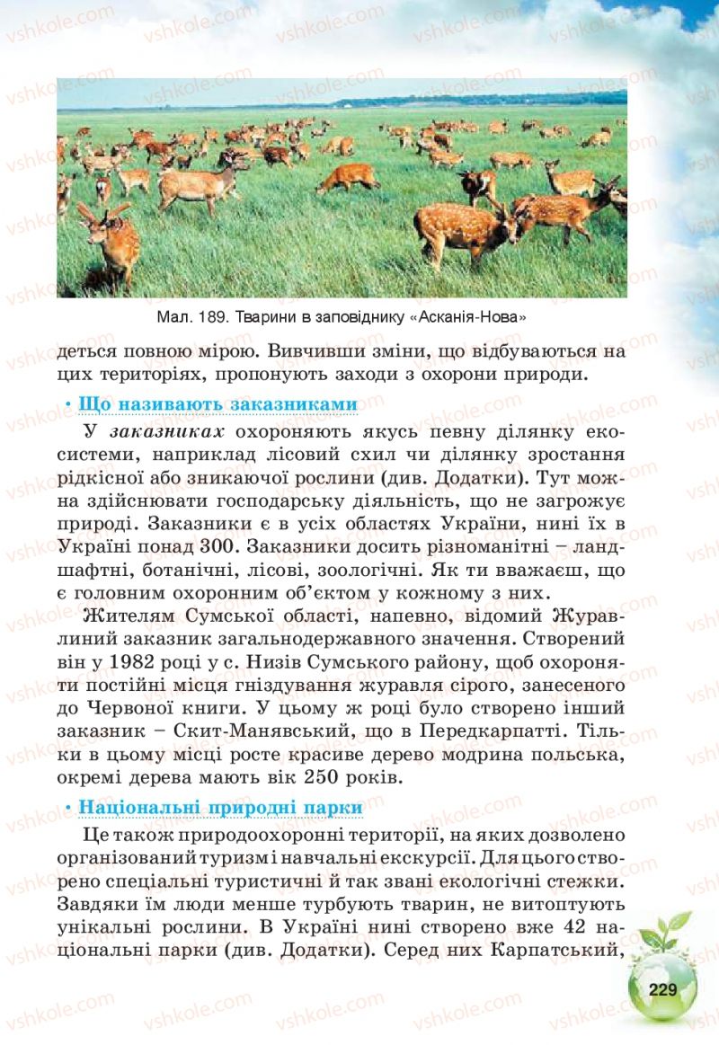 Страница 229 | Підручник Природознавство 5 клас Т.В. Коршевнюк, В.І. Баштовий 2013