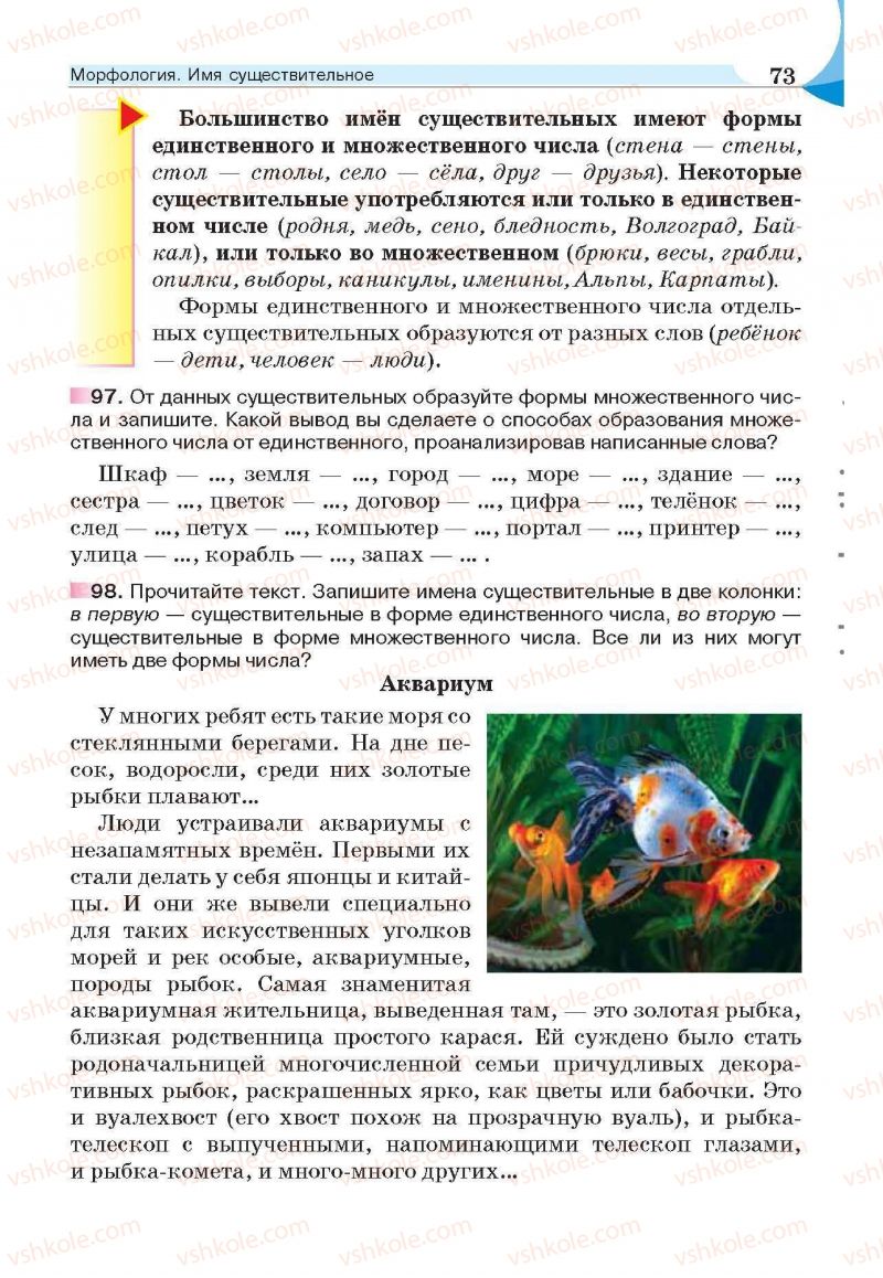 Страница 73 | Підручник Русский язык 6 клас Е.И. Быкова, Л.В. Давидюк, Е.С. Снитко, Е.Ф. Рачко 2014