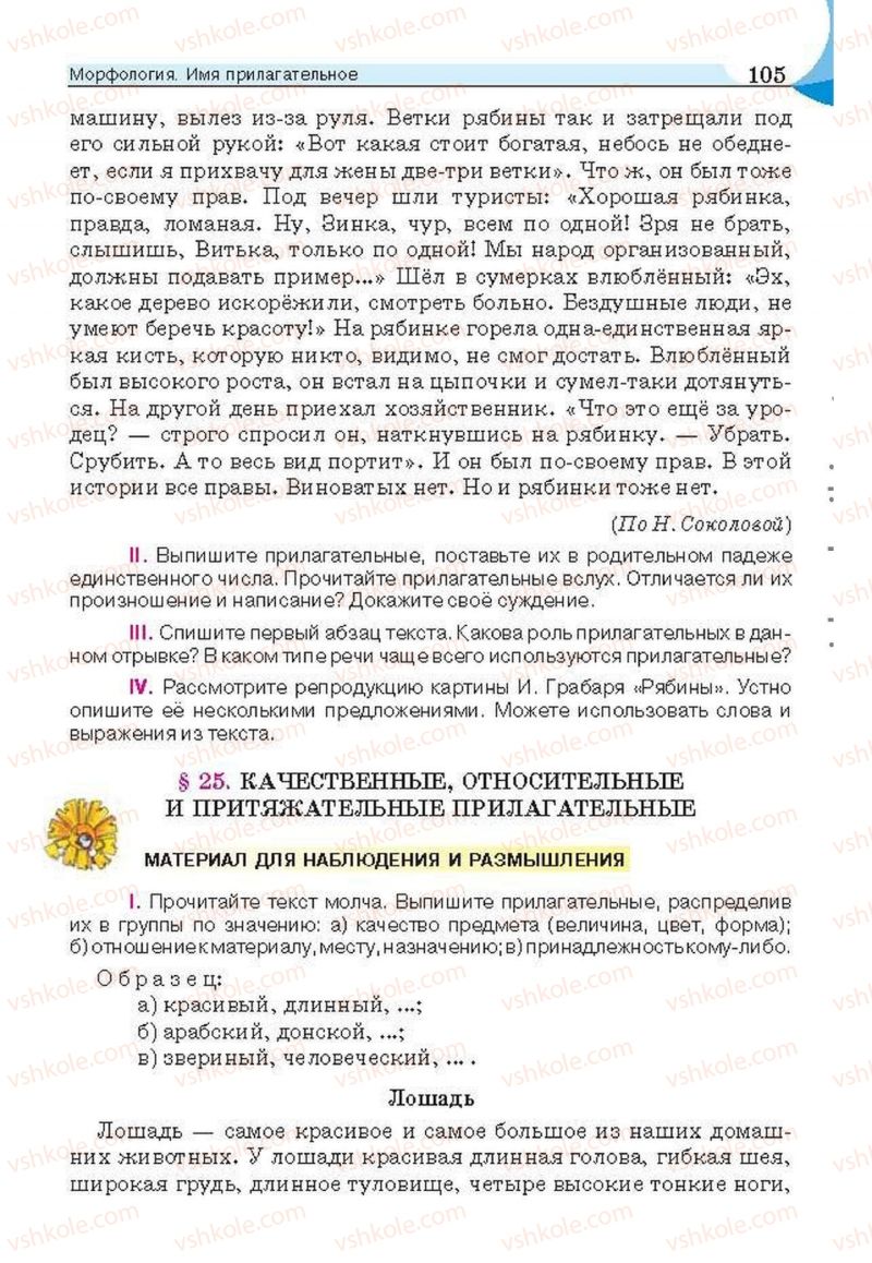 Страница 105 | Підручник Русский язык 6 клас Е.И. Быкова, Л.В. Давидюк, Е.С. Снитко, Е.Ф. Рачко 2014