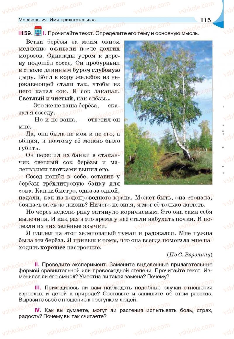 Страница 115 | Підручник Русский язык 6 клас Е.И. Быкова, Л.В. Давидюк, Е.С. Снитко, Е.Ф. Рачко 2014
