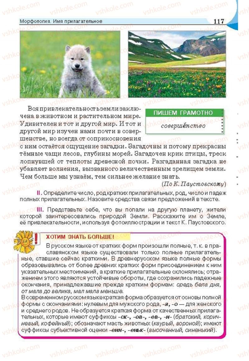 Страница 117 | Підручник Русский язык 6 клас Е.И. Быкова, Л.В. Давидюк, Е.С. Снитко, Е.Ф. Рачко 2014