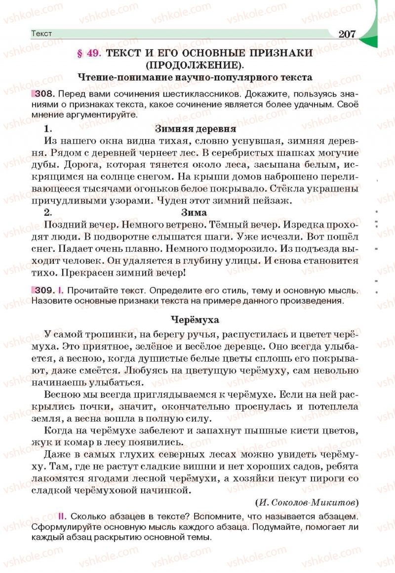 Страница 207 | Підручник Русский язык 6 клас Е.И. Быкова, Л.В. Давидюк, Е.С. Снитко, Е.Ф. Рачко 2014