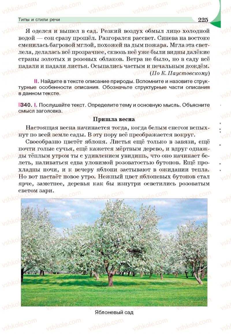 Страница 225 | Підручник Русский язык 6 клас Е.И. Быкова, Л.В. Давидюк, Е.С. Снитко, Е.Ф. Рачко 2014