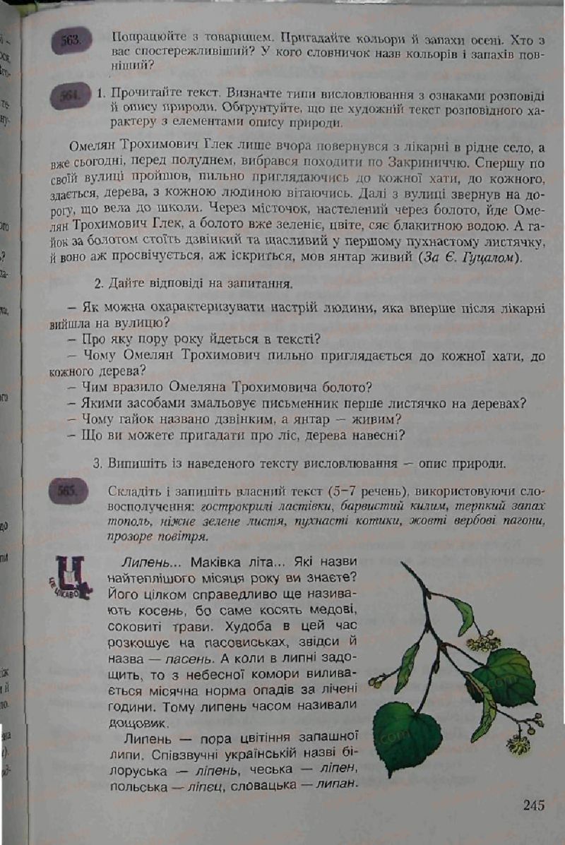 Страница 245 | Підручник Українська мова 6 клас С.Я. Єрмоленко, В.Т. Сичова 2006