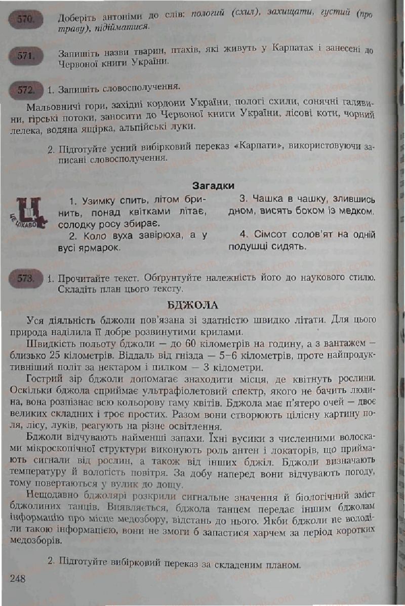 Страница 248 | Підручник Українська мова 6 клас С.Я. Єрмоленко, В.Т. Сичова 2006