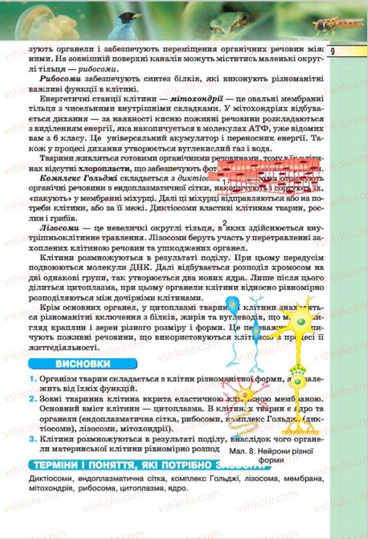 Страница 9 | Підручник Біологія 7 клас І.Ю. Костіков, С.О. Волгін, В.В. Додь 2015