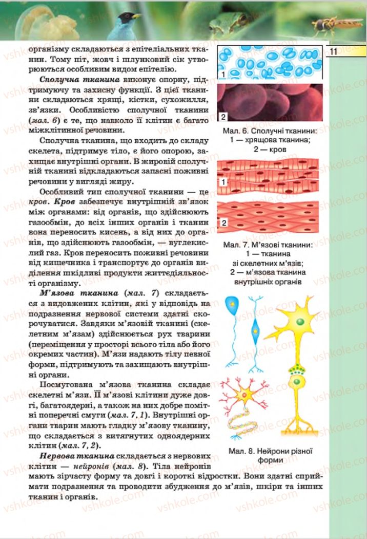 Страница 11 | Підручник Біологія 7 клас І.Ю. Костіков, С.О. Волгін, В.В. Додь 2015