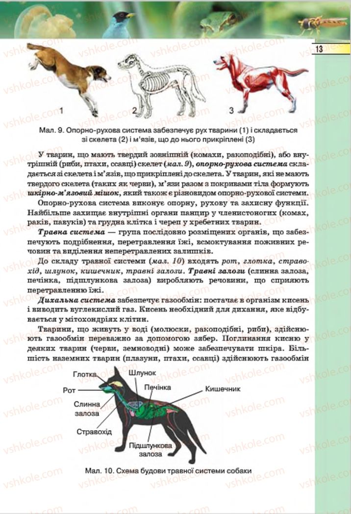 Страница 13 | Підручник Біологія 7 клас І.Ю. Костіков, С.О. Волгін, В.В. Додь 2015