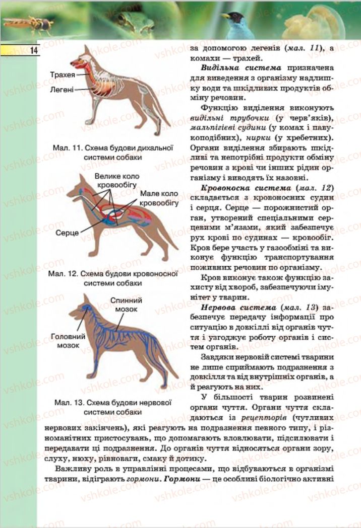 Страница 14 | Підручник Біологія 7 клас І.Ю. Костіков, С.О. Волгін, В.В. Додь 2015