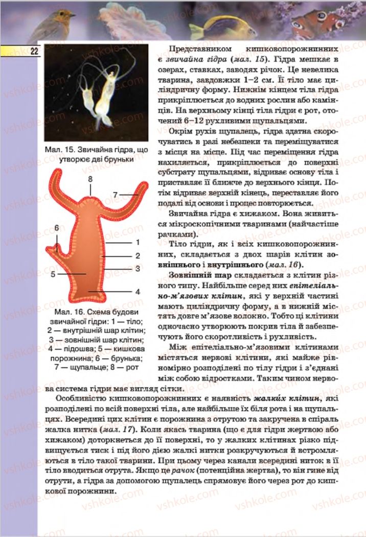 Страница 22 | Підручник Біологія 7 клас І.Ю. Костіков, С.О. Волгін, В.В. Додь 2015