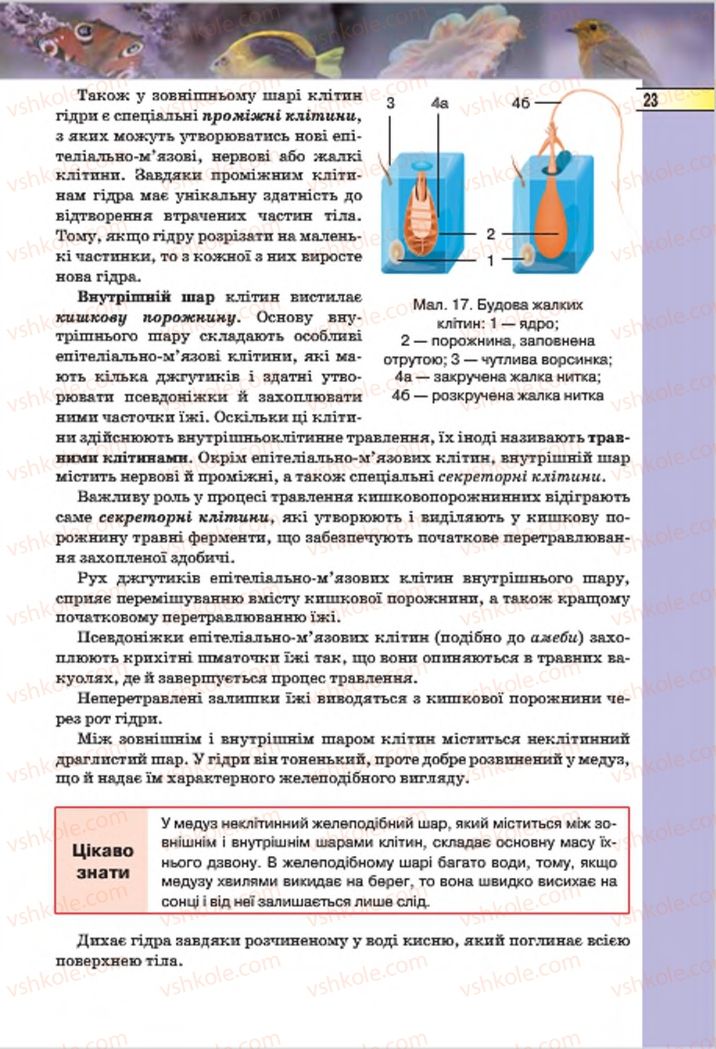 Страница 23 | Підручник Біологія 7 клас І.Ю. Костіков, С.О. Волгін, В.В. Додь 2015