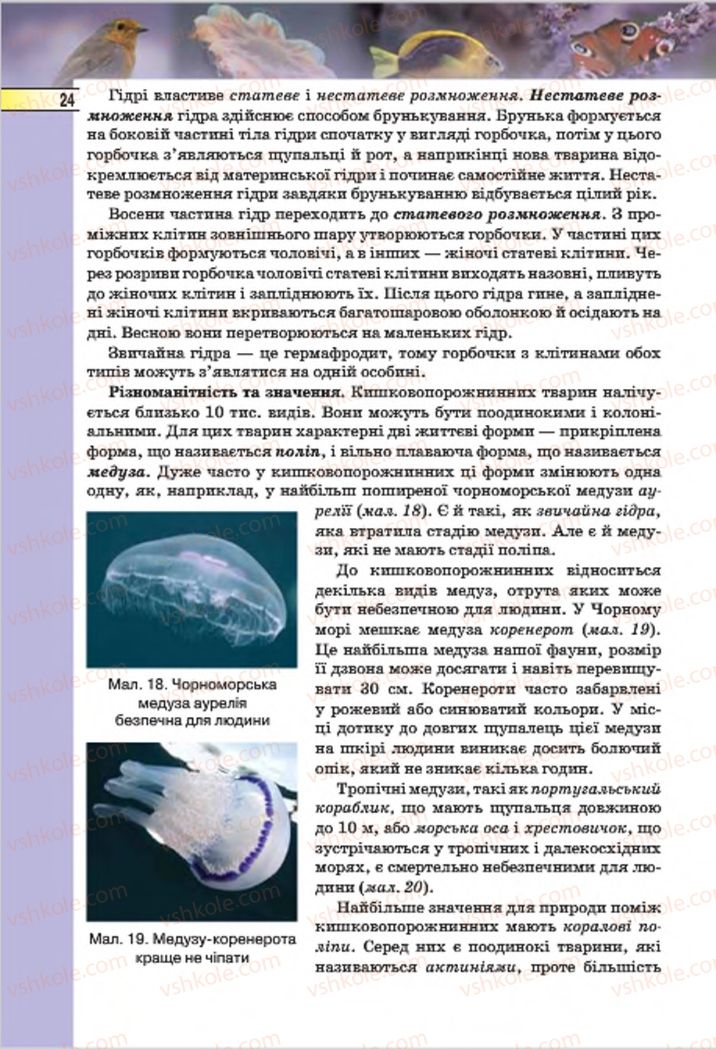 Страница 24 | Підручник Біологія 7 клас І.Ю. Костіков, С.О. Волгін, В.В. Додь 2015