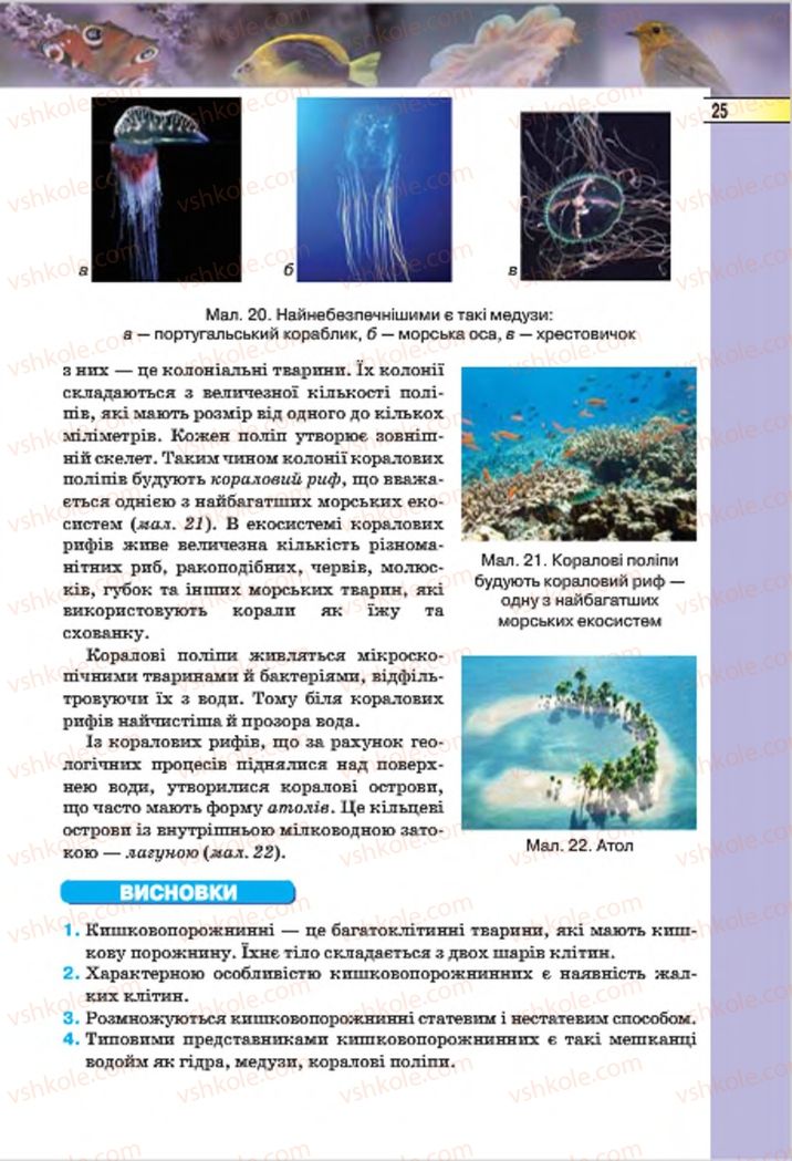 Страница 25 | Підручник Біологія 7 клас І.Ю. Костіков, С.О. Волгін, В.В. Додь 2015