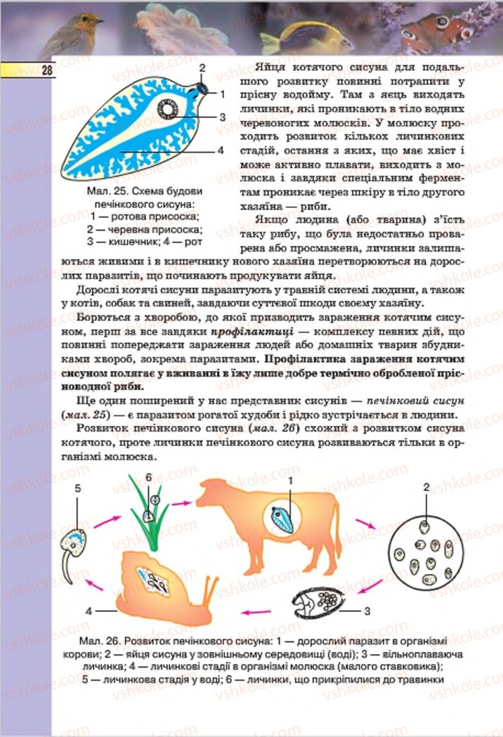 Страница 28 | Підручник Біологія 7 клас І.Ю. Костіков, С.О. Волгін, В.В. Додь 2015