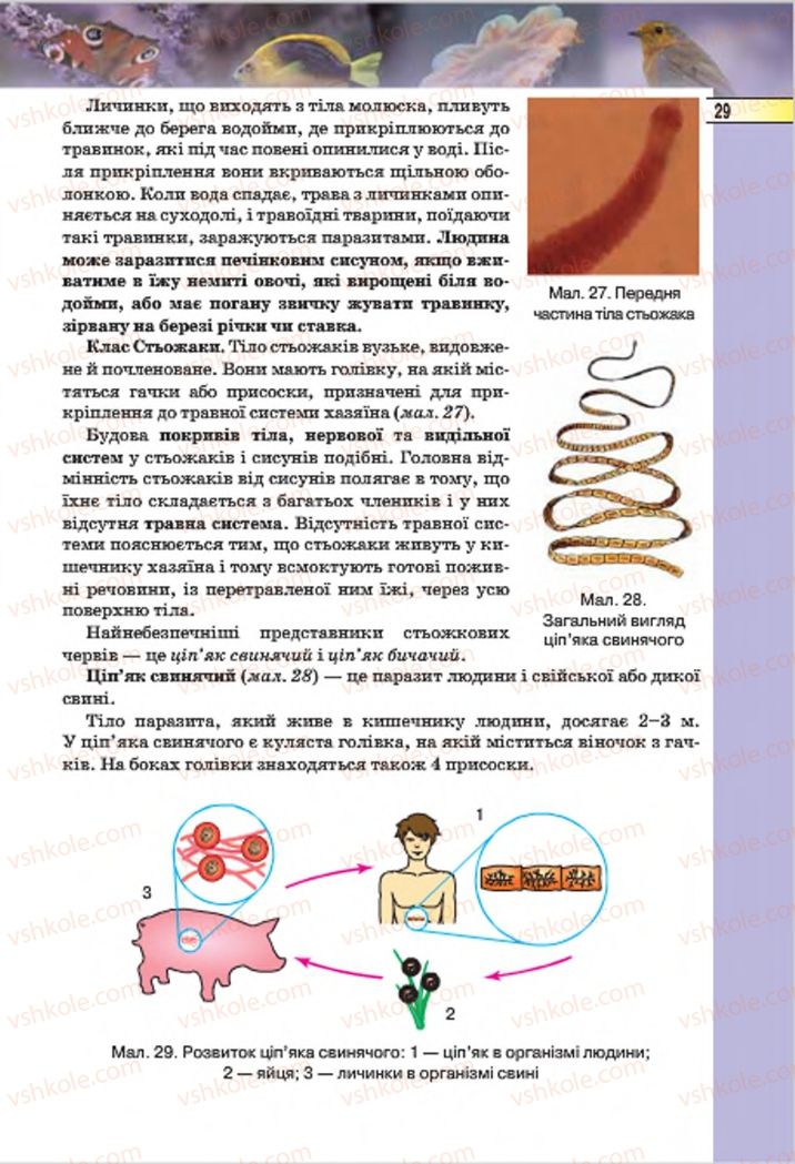 Страница 29 | Підручник Біологія 7 клас І.Ю. Костіков, С.О. Волгін, В.В. Додь 2015