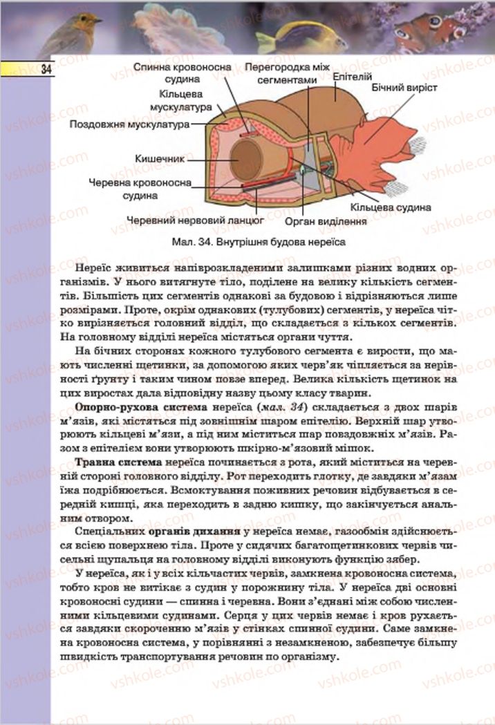Страница 34 | Підручник Біологія 7 клас І.Ю. Костіков, С.О. Волгін, В.В. Додь 2015