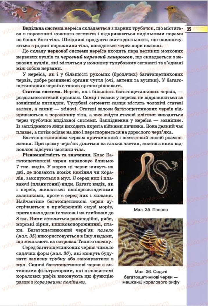 Страница 35 | Підручник Біологія 7 клас І.Ю. Костіков, С.О. Волгін, В.В. Додь 2015